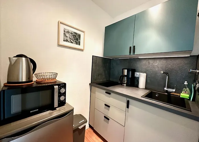 Apartamento Helles, Modernes 1r Mit Balkon, Parking Und Streaming Magdeburgo